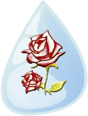 Donazioni - Renaissance (363x450)