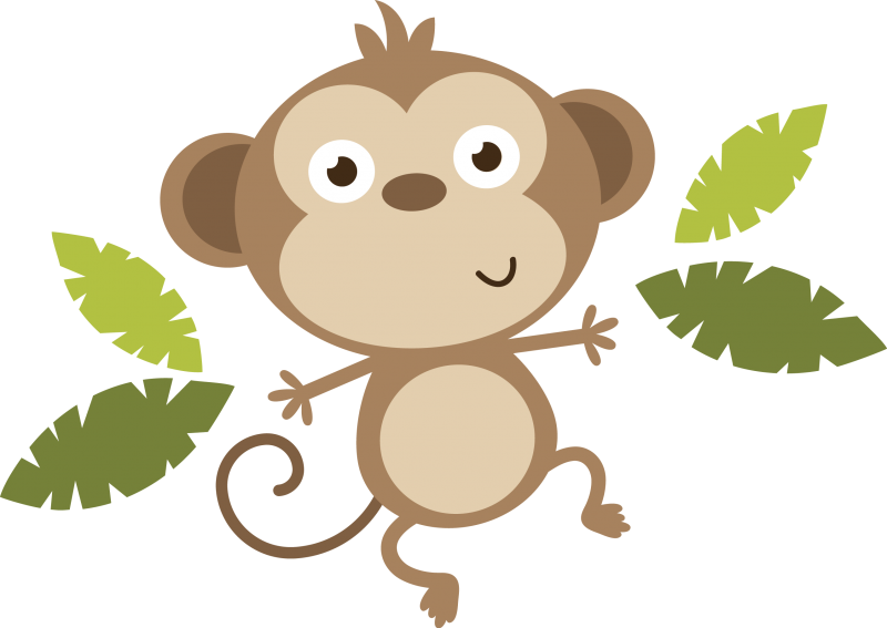 Monkey - Baby Monkey Clipart Png (800x567)