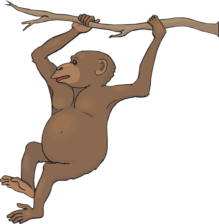Free To Use Public Domain Monkey Clip Art - Clip Art (702x720)