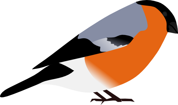 Bullfinch Svg Clip Arts 600 X 354 Px - Bullfinch Clipart (600x354)