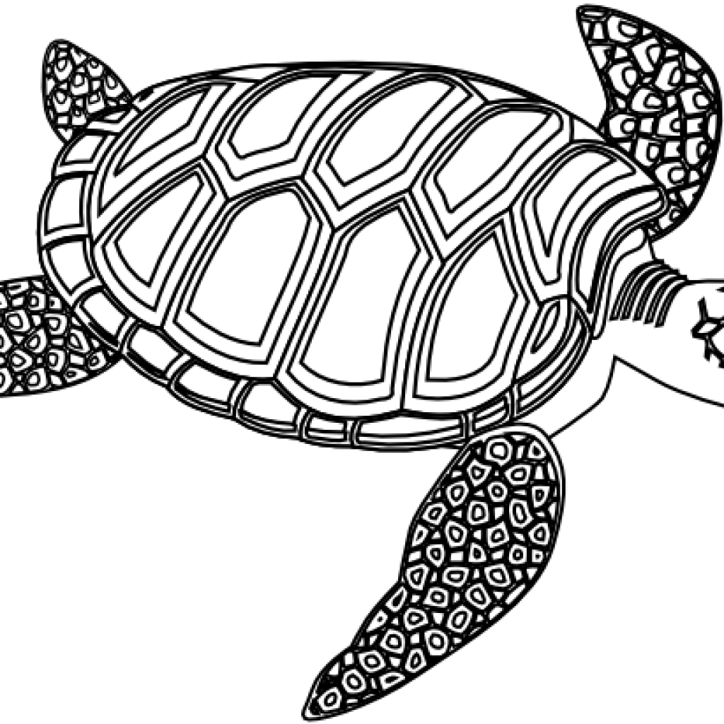 Sea Turtle Clipart Black And White Pin Adile Demirci - Turtle Black And White (1024x1024)