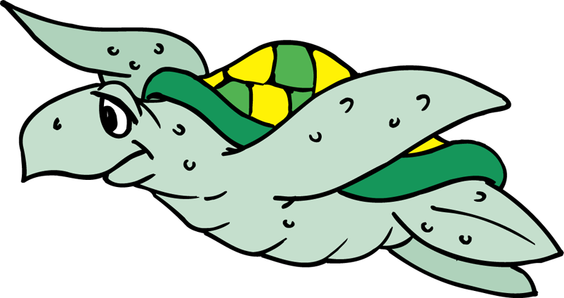 Cute Turtles Clipart - Clip Art (803x424)