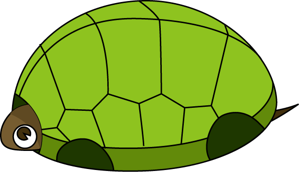 1 - Turtle (597x343)