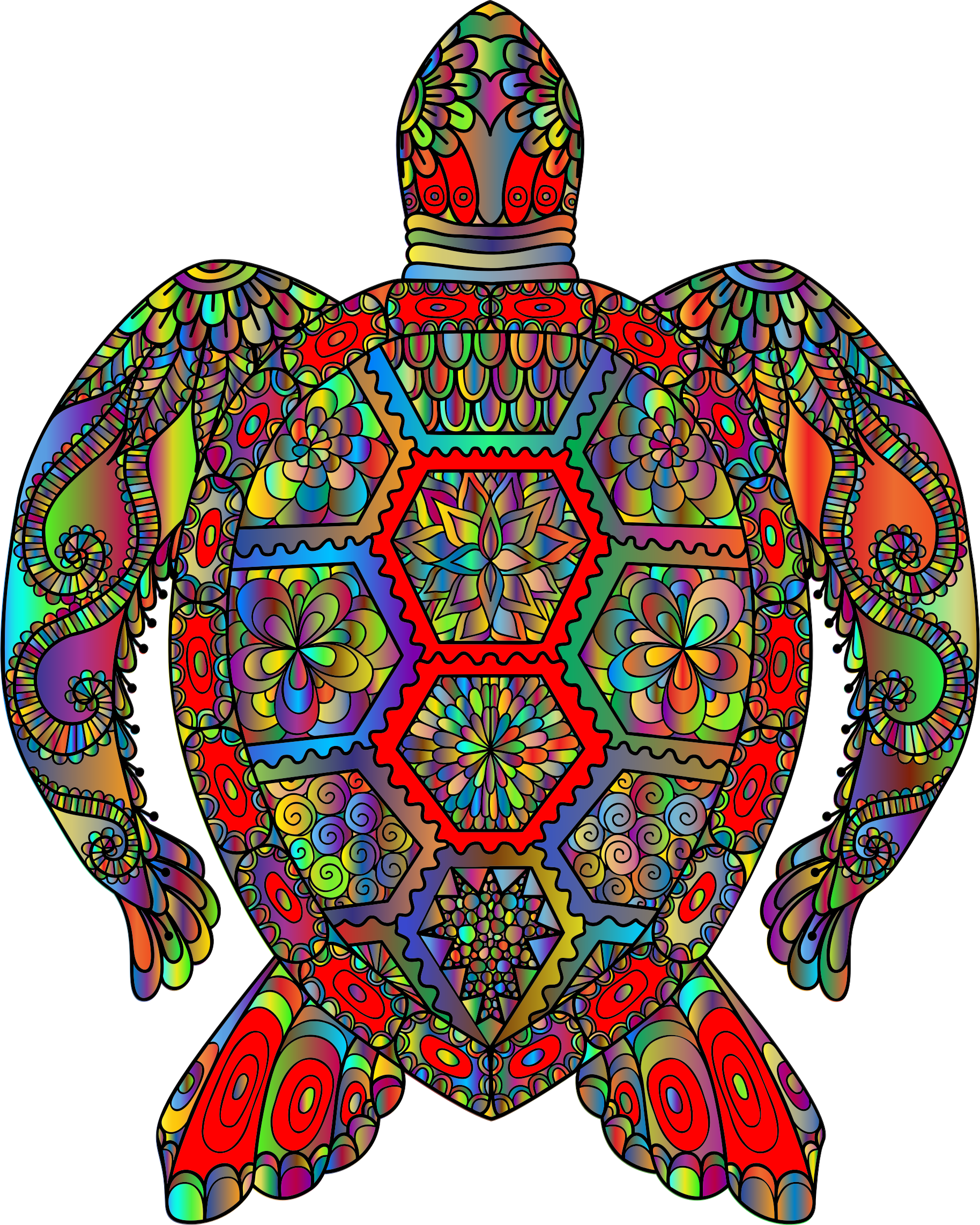 Big Image - Non Copyrighted Images Of A Sea Turtle Up Above (1828x2284)