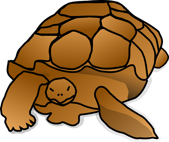 Cartoon Snapping Turtle Png (640x539)