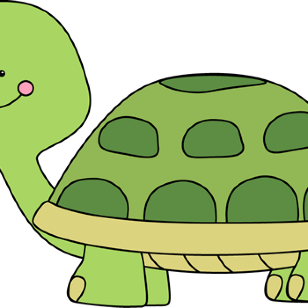 Turtle Clipart Cute Turtle Clip Art Cute Turtle Image - Tortue Clipart (1024x1024)
