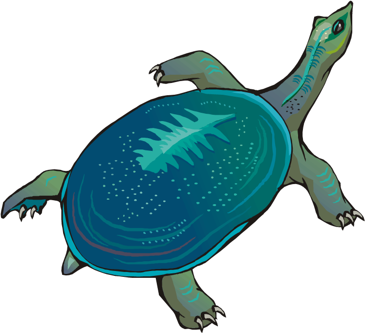 Free Turtle Clipart - Sea Turtle Cute Swimming Unisex Beanie Hats Soft Watch (750x688)