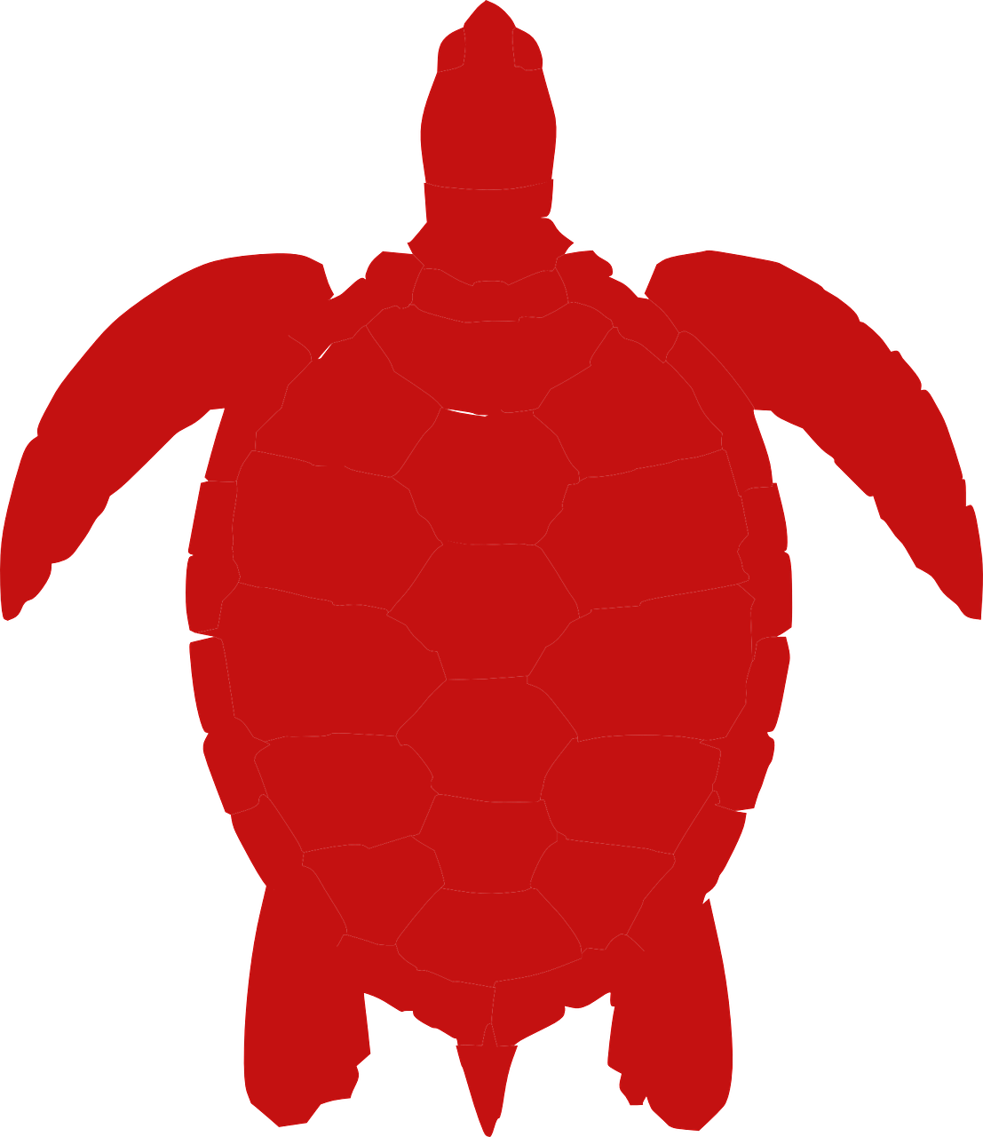 Sea Turtle Clip Art (622x720)