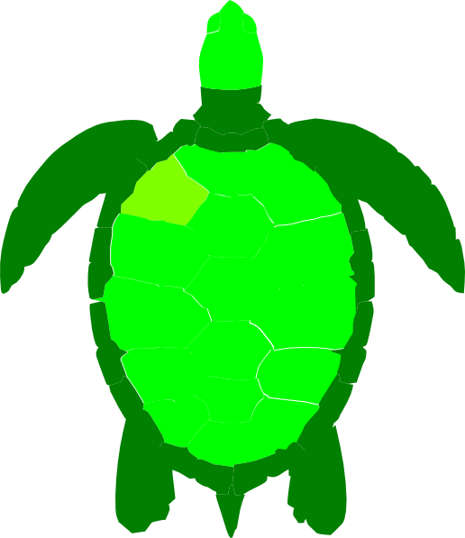Sea Turtle Clipart - Turtle Clipart Birds Eye View (516x597)
