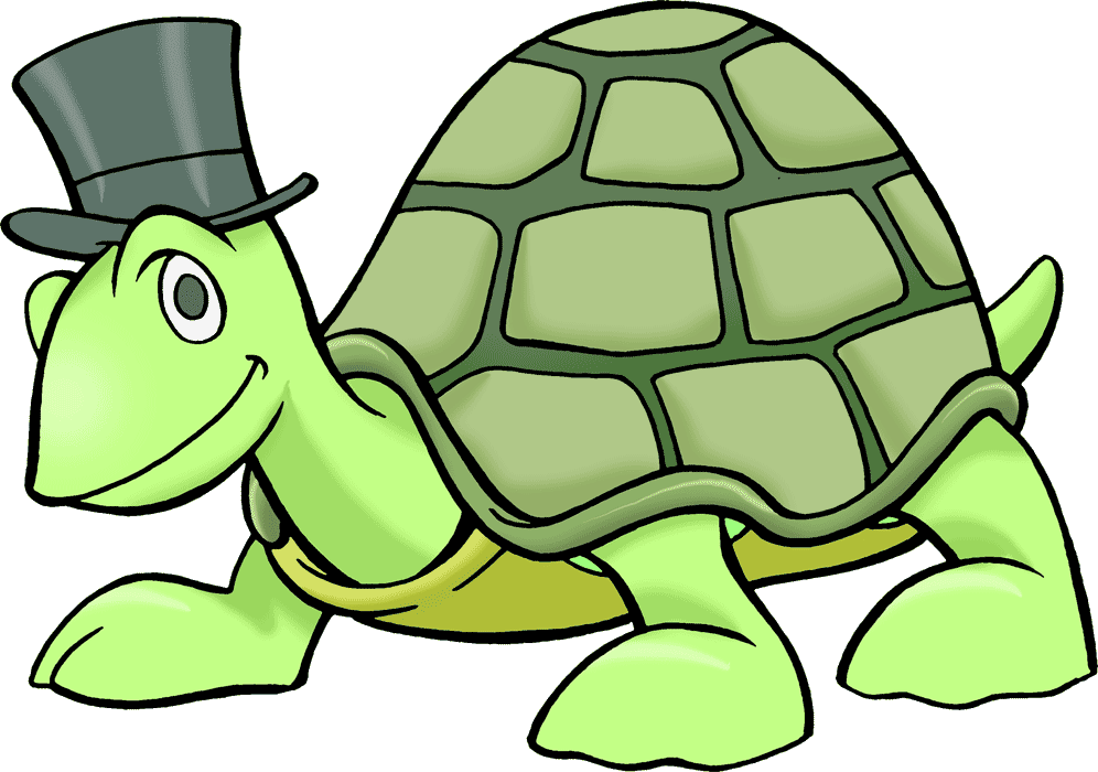 Clip Art Of A Turtle (996x700)