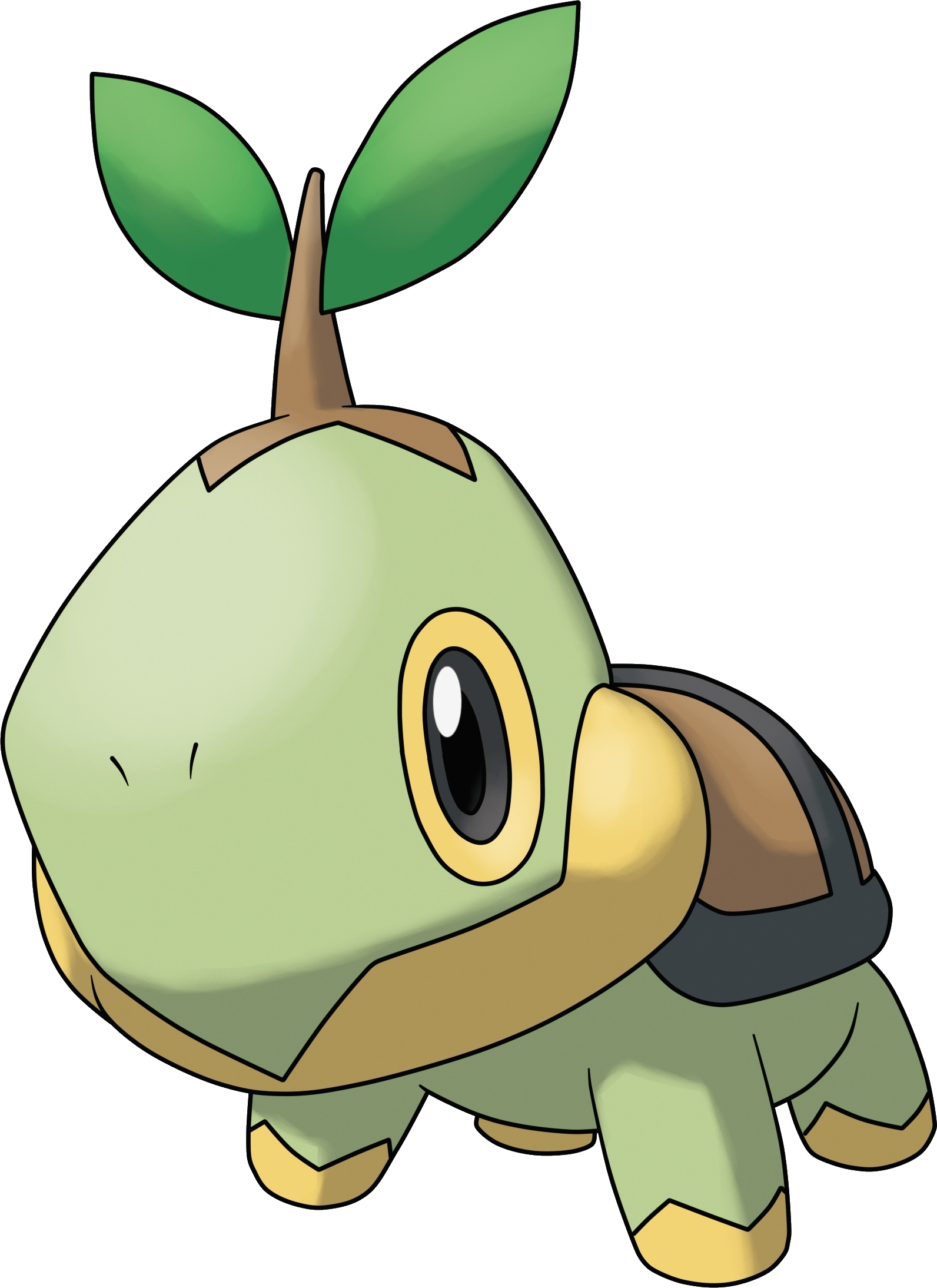 Turtwig Pokemon - Pokemon Pearl Turtwig (1592x2188)