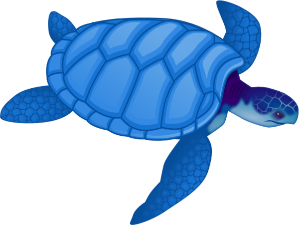 Free Sea Turtle Clipart Image - Sea Turtle Clip Art Blue (600x451)