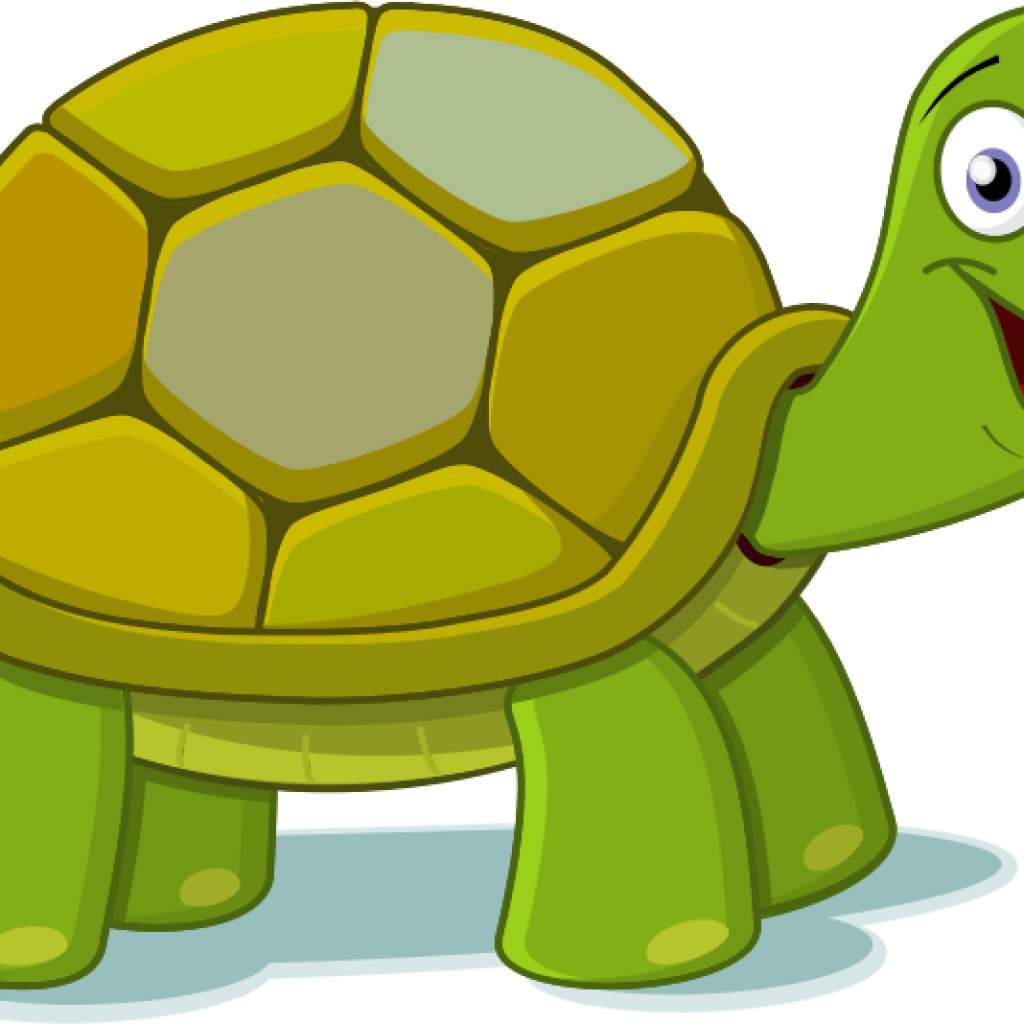Turtle Clipart Free Free To Use Public Domain Turtle - Tortoise And Hare Clipart (1024x1024)