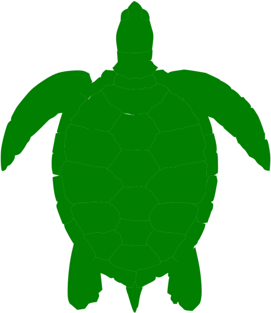 Turtle Shell Template Clipart Best Vdib2c Clipart - Green Sea Turtle Clip Art (617x700)