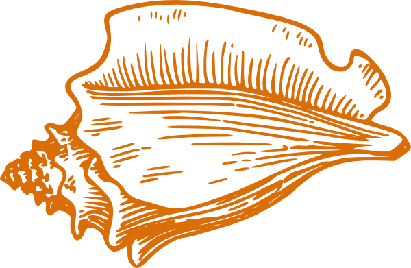 Orange Conch Shell Clip Art At Clker Com Vector Clip - Conch Shell Clip Art (600x391)