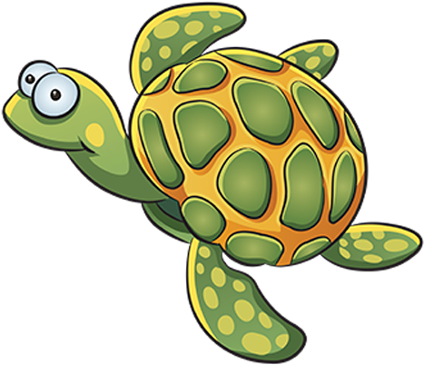 Free Turtle Clipart - Turtle Drawing Png (512x512)
