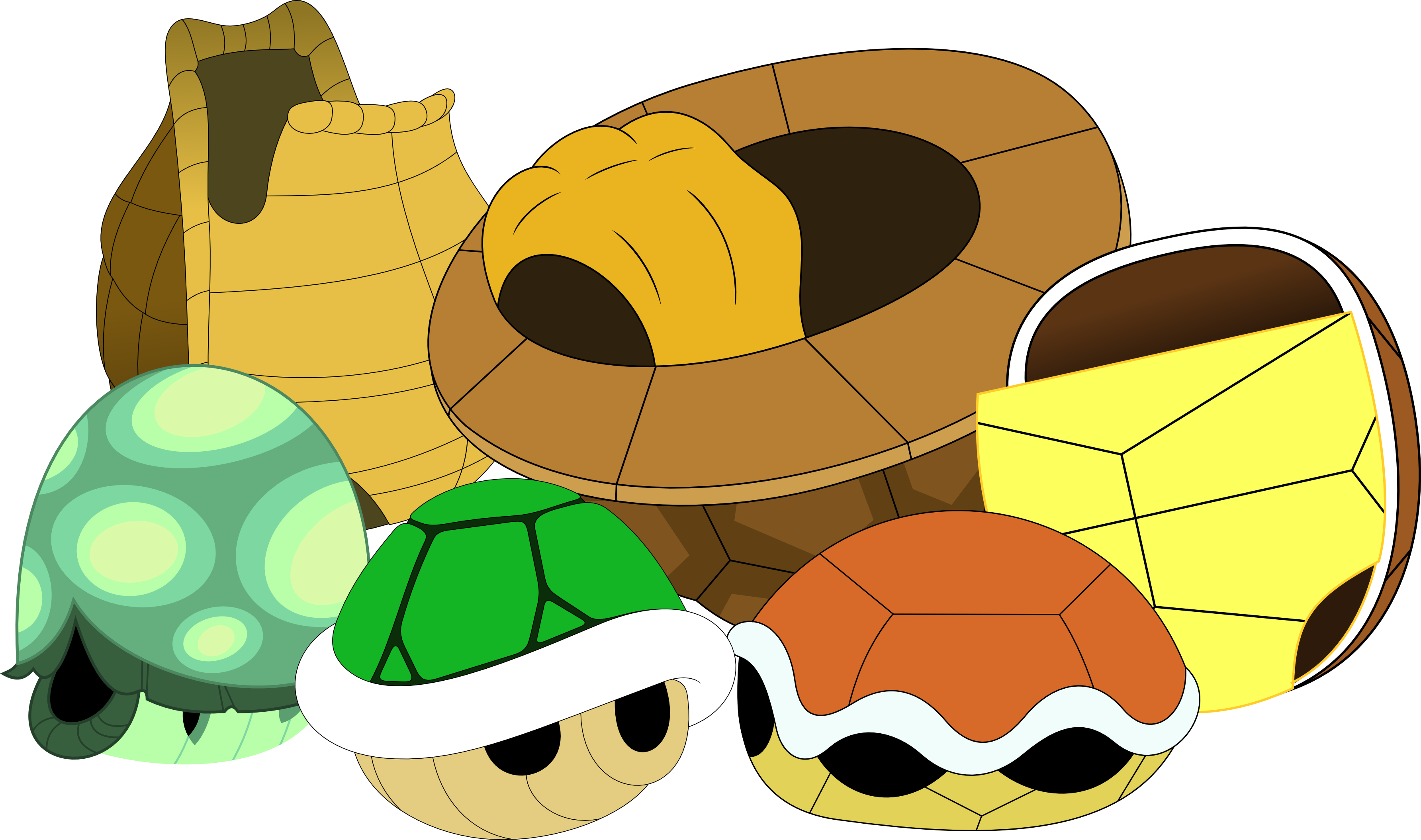All Shells, No Turtles By Porygon2z - Turtle (3568x2109)