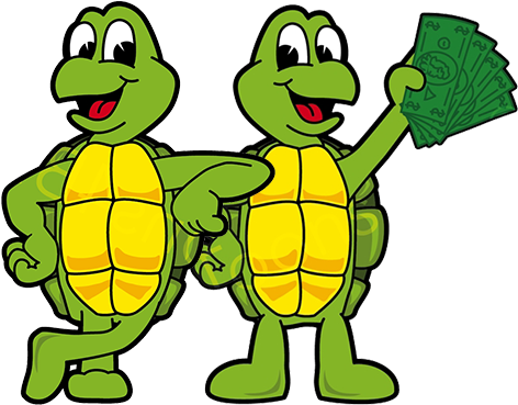 Become A Member Of The Money Turtles Community - Turtle (752x518)