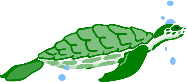 Turtle In Water Clipart - Turtle Water Clipart (750x330)