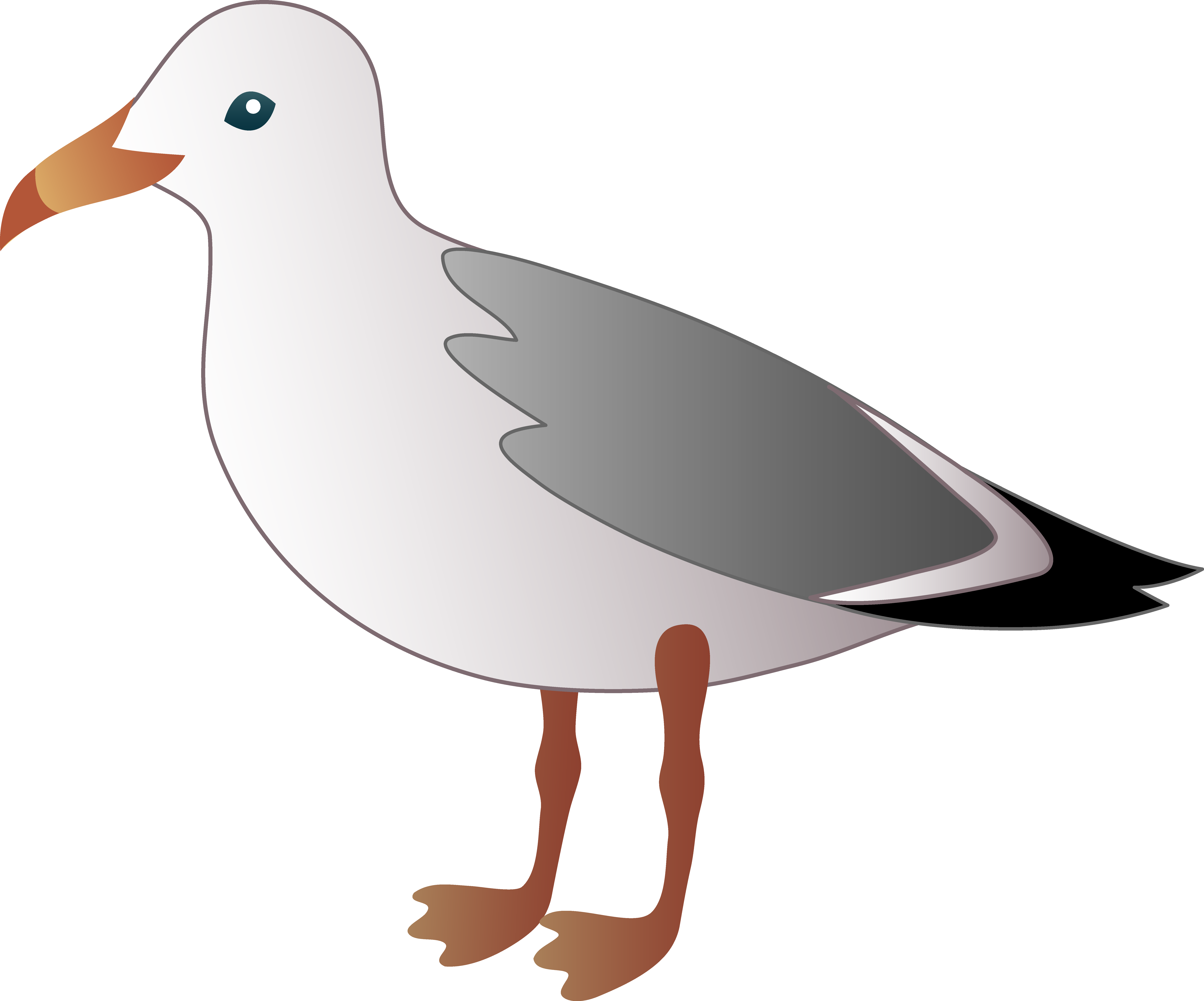 Seabird Clipart - Seagull Clipart (7458x6204)