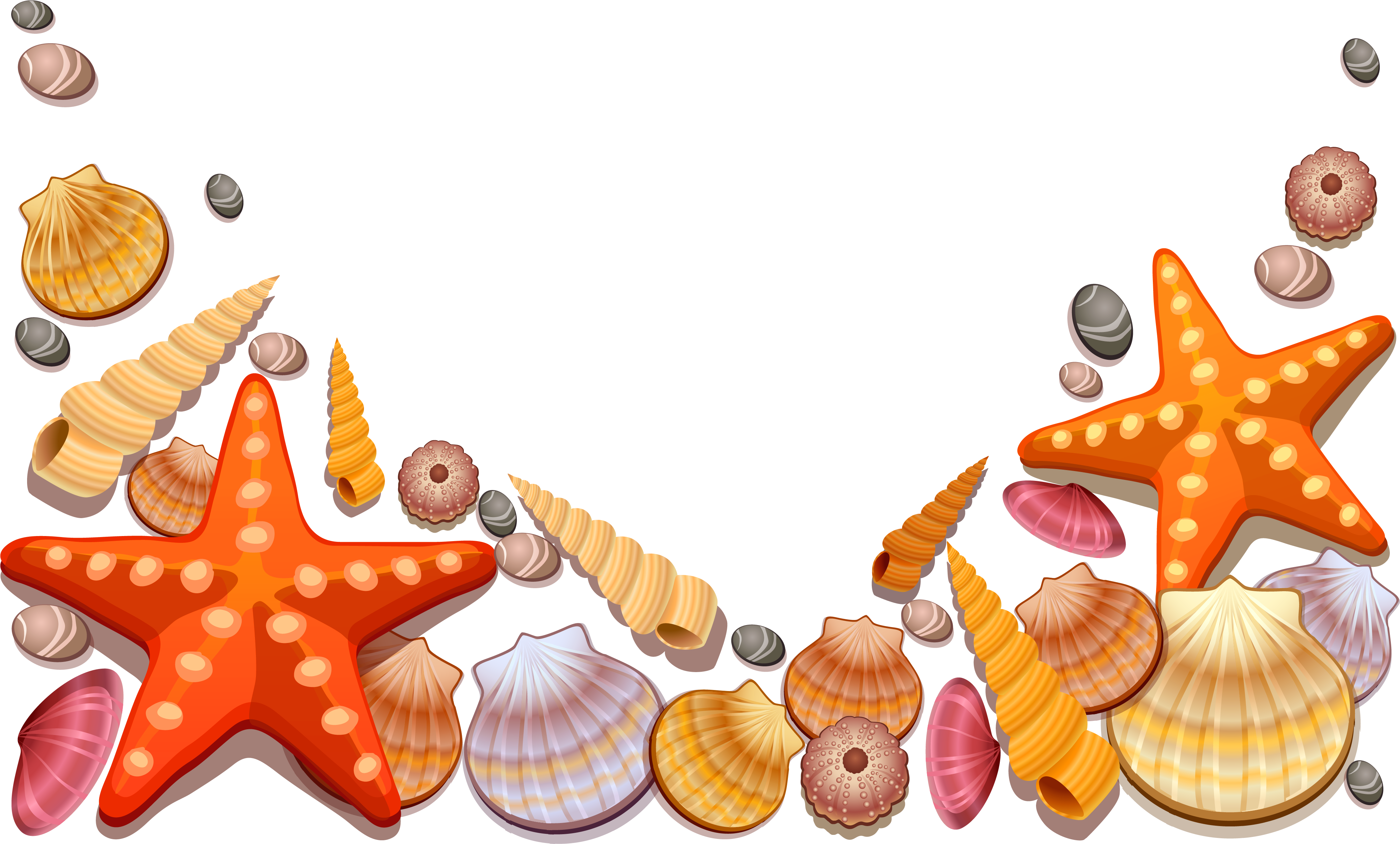 Sea Shells Decor Png Vector Clipart - Sea Shells Shower Curtain (4242x2645)