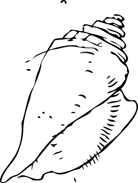 32 Seashells Clip Art Pictures Vector Clipart Graphics - Seashell Clip Art (450x593)