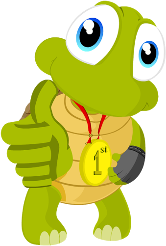 Photo - Turtle Interactive (512x512)