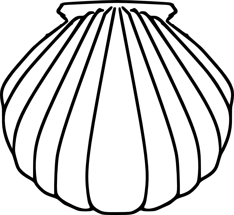 Shell Clipart Pilgrim - Baptismal Shell Clip Art (800x735)