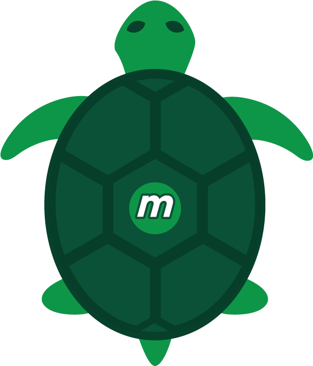 Totally Tubular Turtles - Cartoon (720x720)