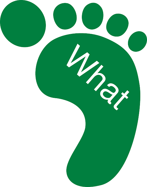 Going Green Clip Art Image Search Results - Green Footprint (503x640)