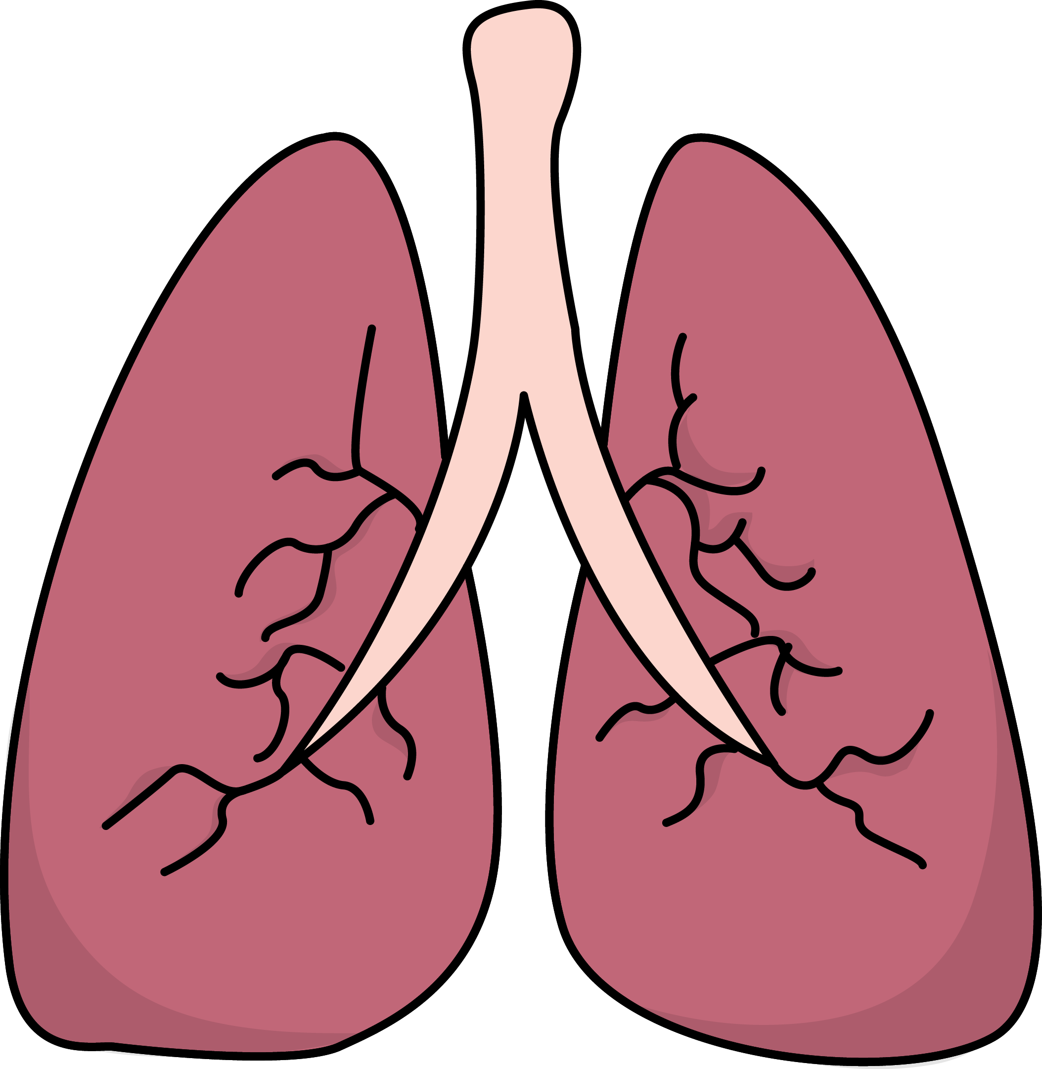 Lungs Clipart Arthur S Medical - Clipart Lungs (2107x2160)