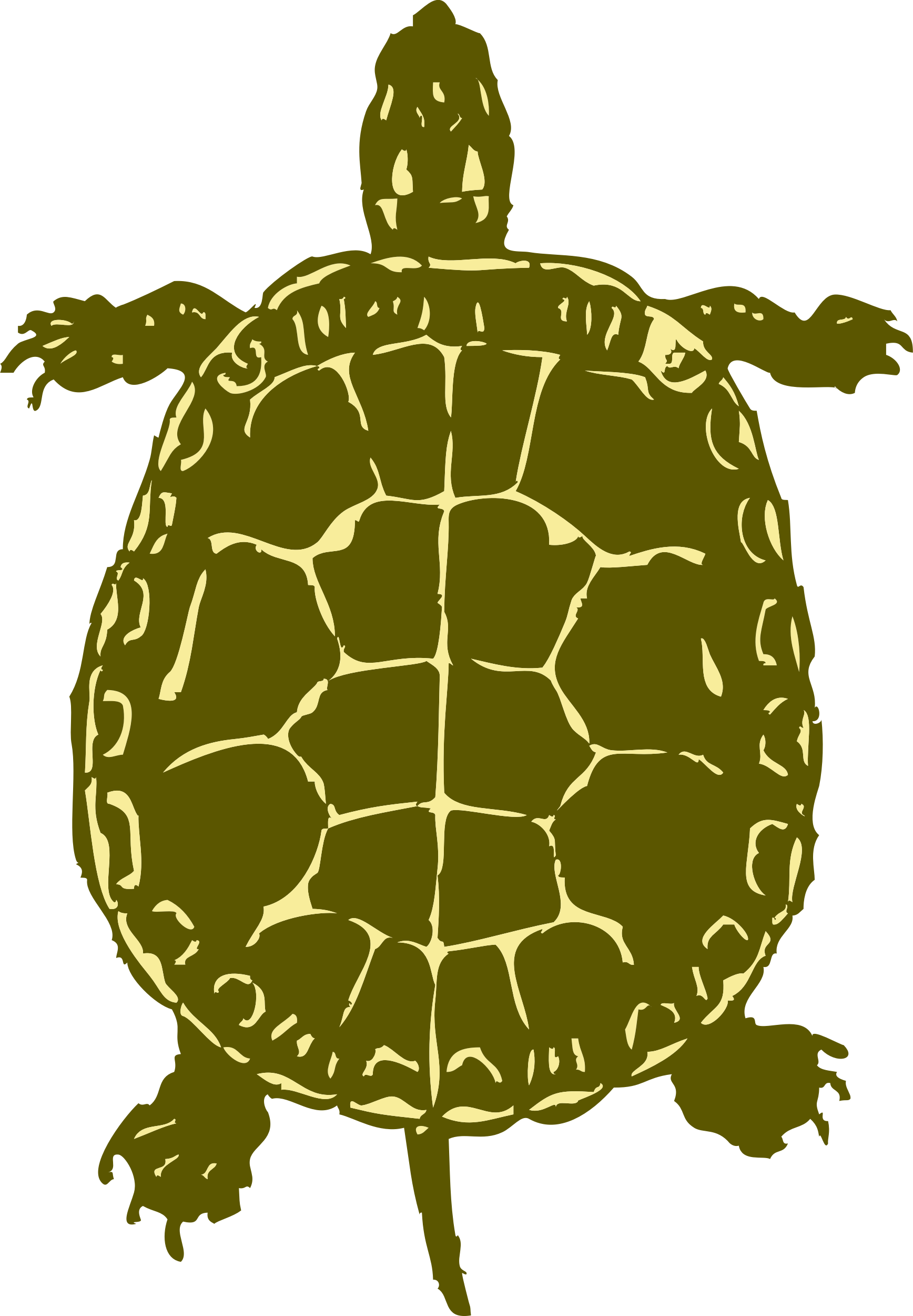 Sea Turtle Clipart Snapping Turtle - Turtle Bird Eye View (1736x2500)
