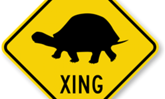 Give Turtles A Brake - Smartsign 3m Engineer Grade Reflective Sign, Legend (566x340)