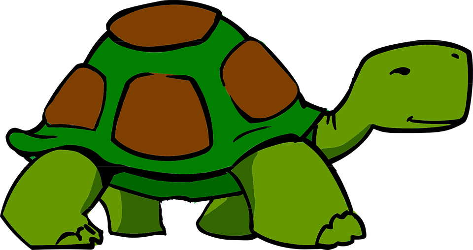 Turtle Brown Green Shell Animal Reptile Sl - Slow Clipart (960x508)