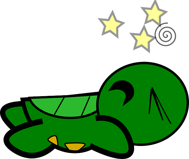 Turtle, Tortoise, Cartoon, Animal, Cute, Knockout - Cartoon Turtles Without Shells (640x536)