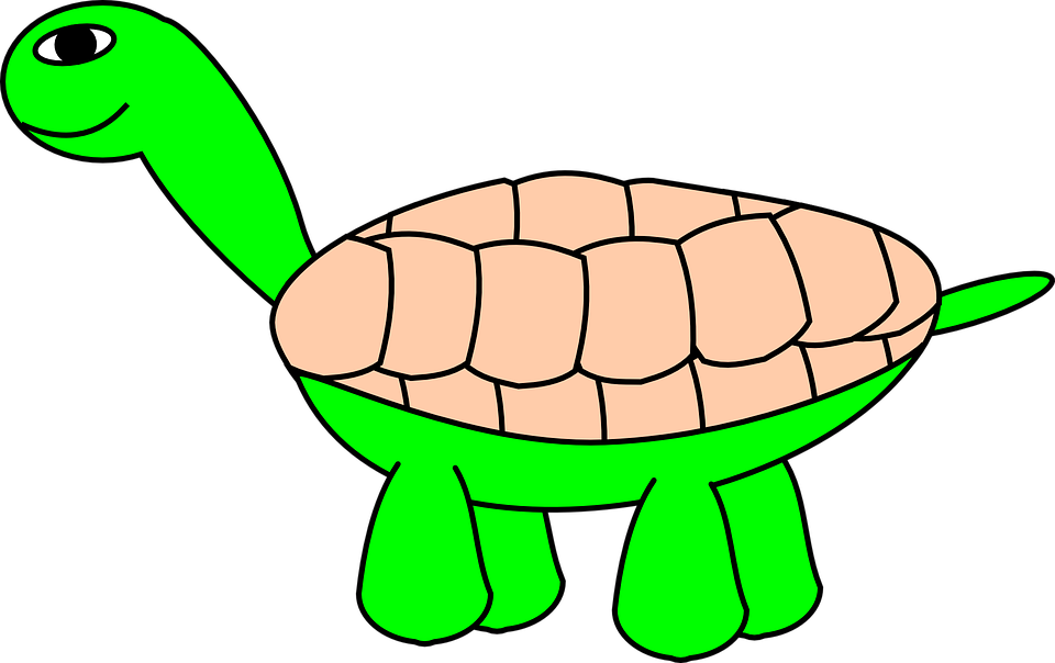Free Tortoisestage5 - Cartoon Turtle (1192x750)