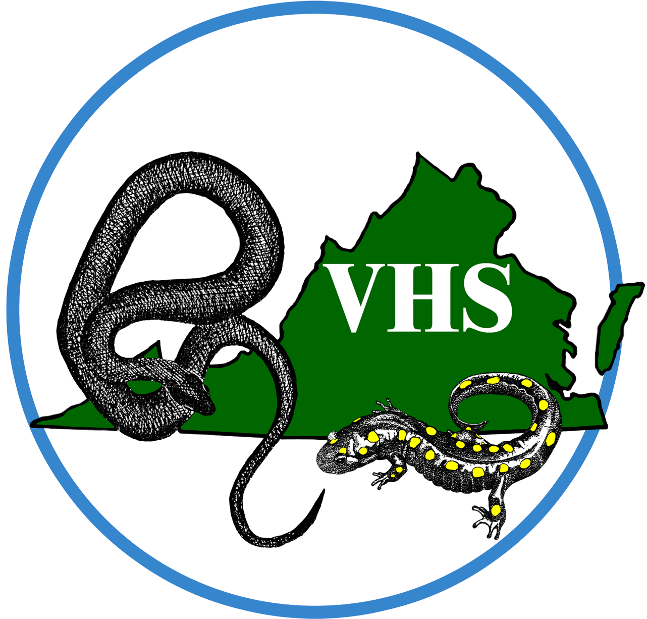 Grass Snake (1400x1250)