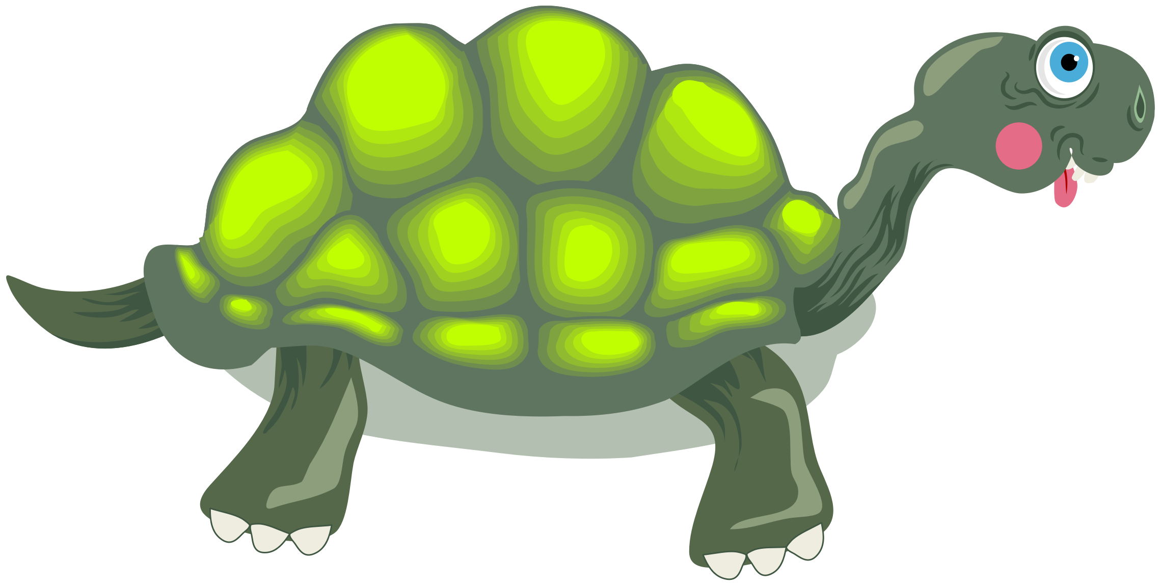 Big Image - Tortoise Clipart (2279x1150)