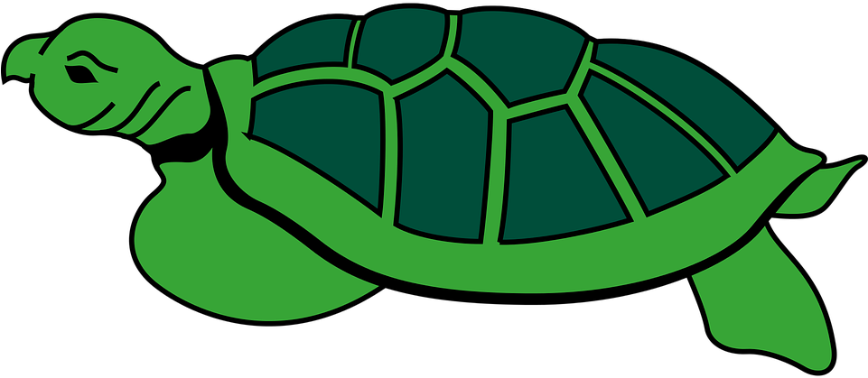 Animal Reptile Tortoise Turtle Tortoise To - Cayman Islands Clipart (2400x1033)