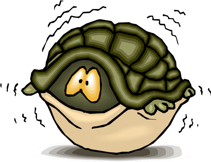 Sounds - Coming Out Of My Shell (800x615)