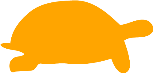 Orange Tortoise Icon - Tortoise Icon (512x512)