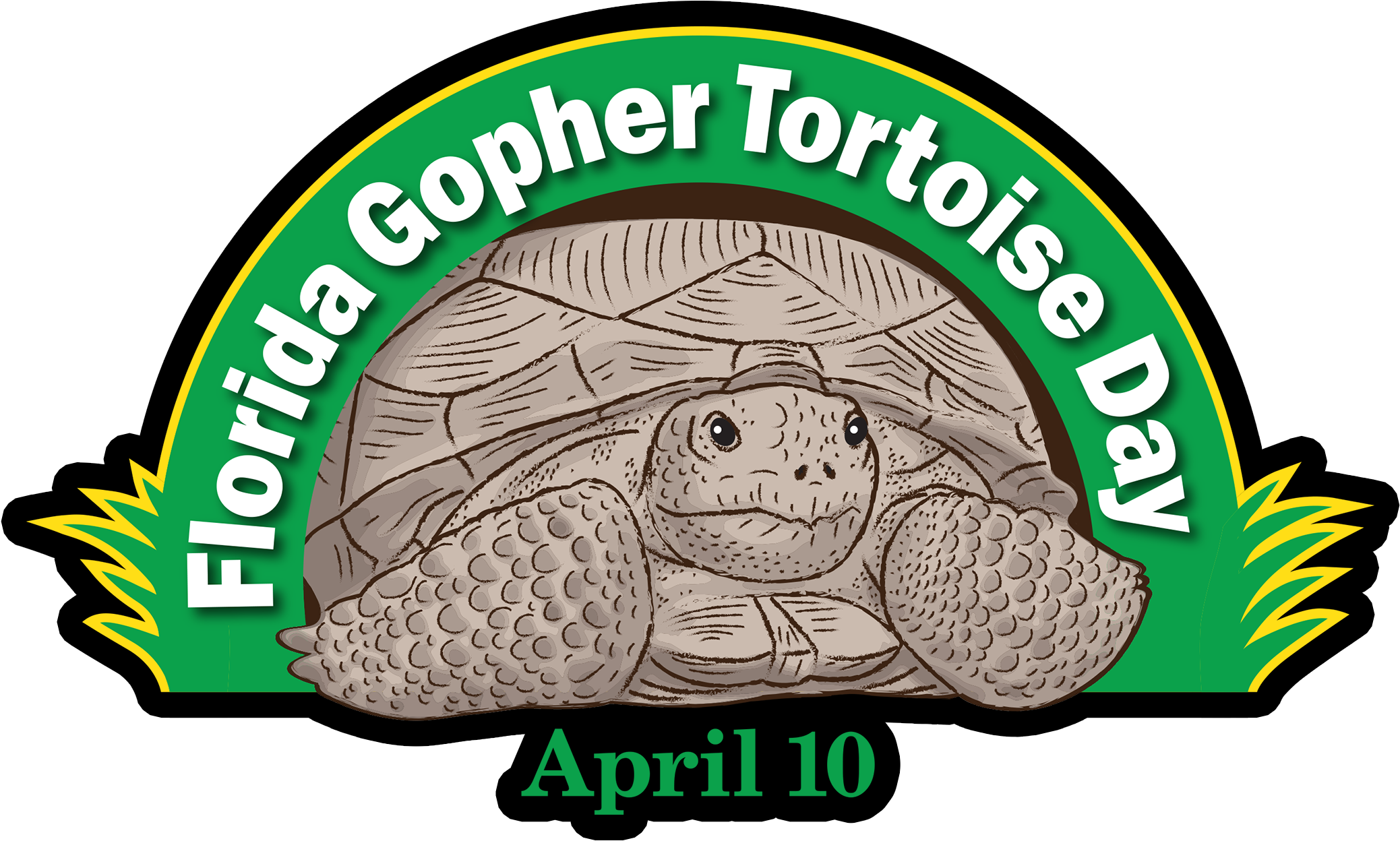 Gopher Tortoise Day - Florida Gopher Tortoise Day (2088x1440)