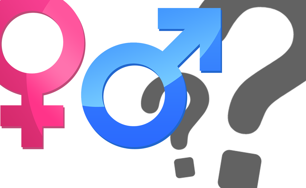 How To Tell Between Male And Female Russian Tortoise - Female And Male Transparent (1024x630)