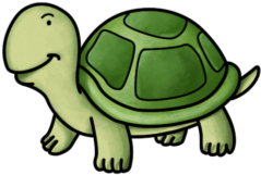 Small Turtle - Small Picture Of A Turtle (420x420)