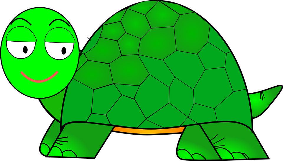 Turtle Clip Art At Clker Gambar Kura Kura Animasi 960x549 Png Clipart Download