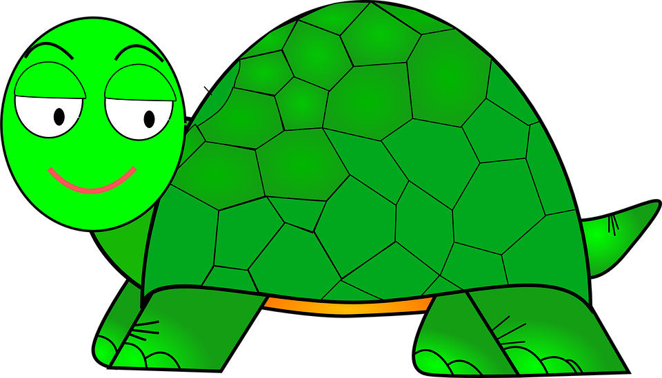 Turtle Clip Art At Clker - Gambar Kura Kura Animasi (960x549)