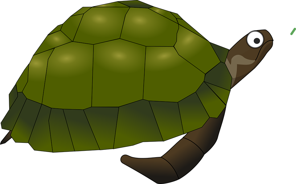 Animal Cartoon Green Sea Turtle Cartoon Tu - Sea Turtle Clip Art (960x598)