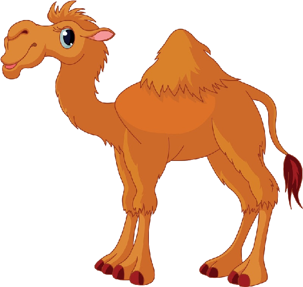 Funny Camel Pictures Clip Art - Camel Clipart (600x600)