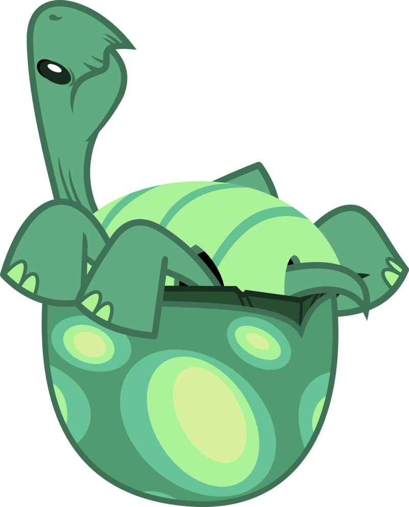 Im A Tortoise And I Can't Get Up By Porygon2z - Tortoise (802x996)