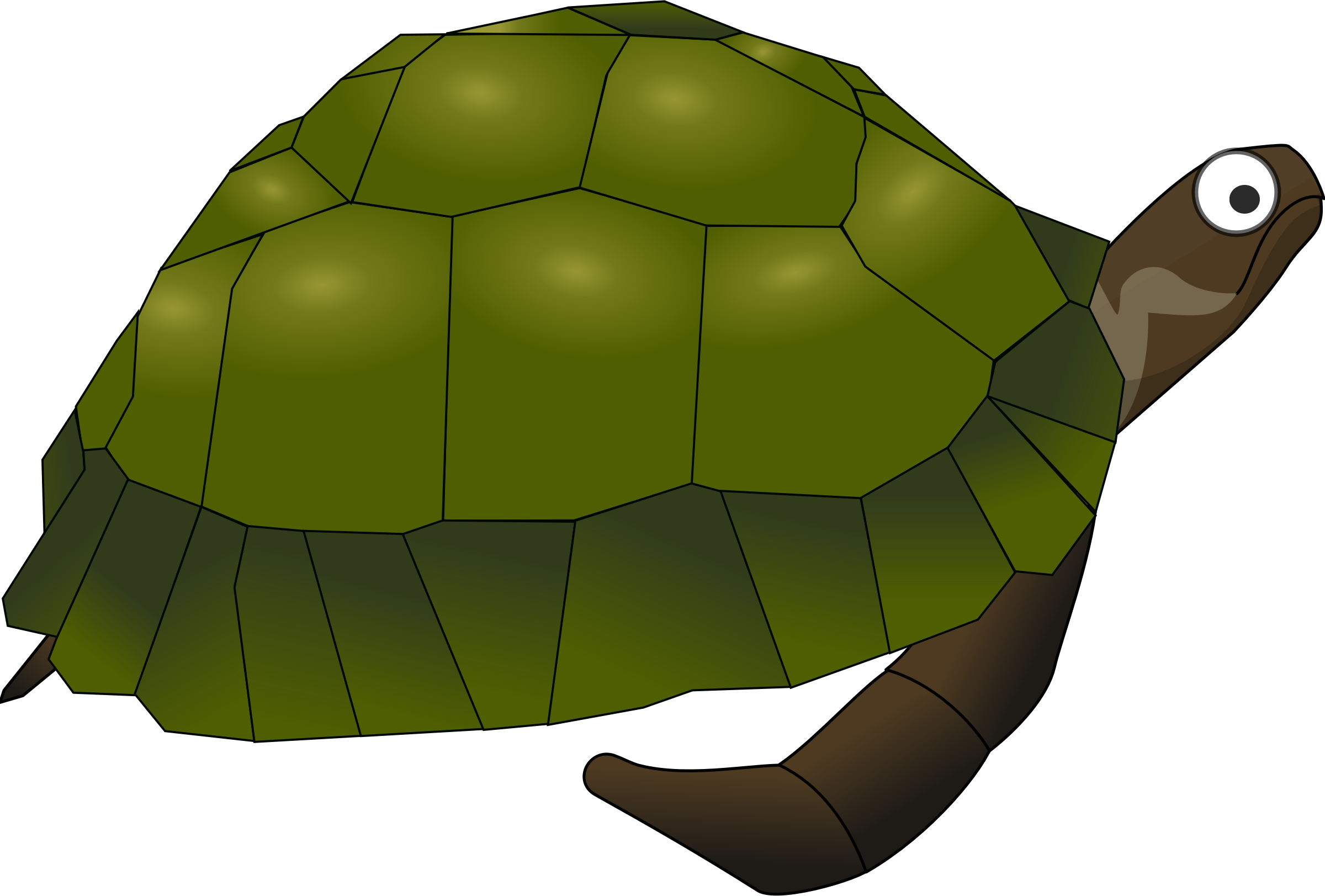 Cartoon Turtle - Sea Turtle Clip Art (2400x1623)